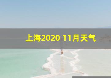 上海2020 11月天气